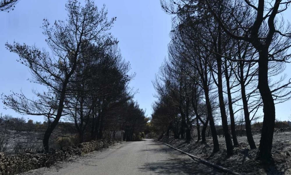 «Φλέγονται» Κύθηρα και Μάνη μετά τις αποκαλύψεις για τις φωτιές του 2017